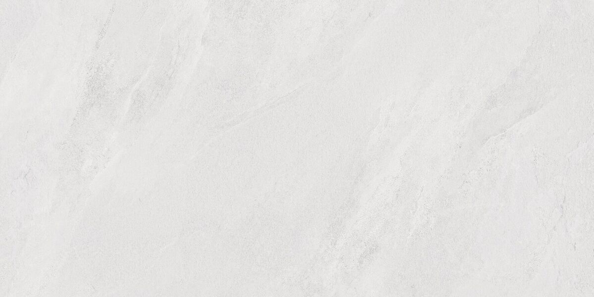 Porter Silver PRO Керамогранит светло-серый LP6012G0171R 59,5х119,1 матовый карвинг R10 STR