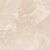 Carnico Beige Керамогранит бежевый 60x60 Полированный Carnico Beige Керамогранит бежевый 60x60 Полированный