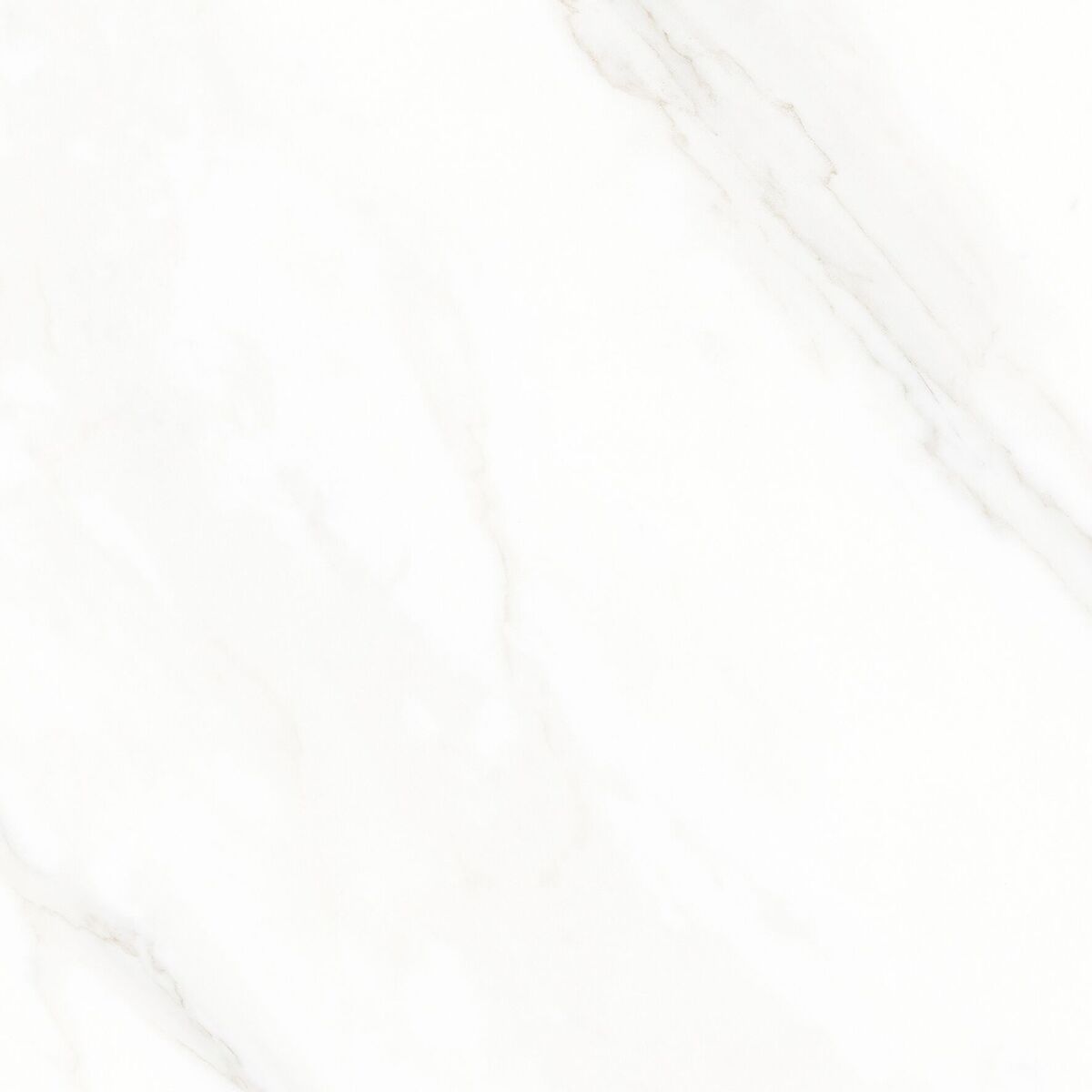 Calacatta Michael Керамогранит белый 60х60 матовый
