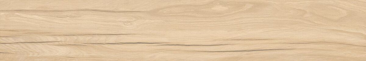 Selva PRO керамогранит бежевый SG517620R 19,6х119,1 R10 STR