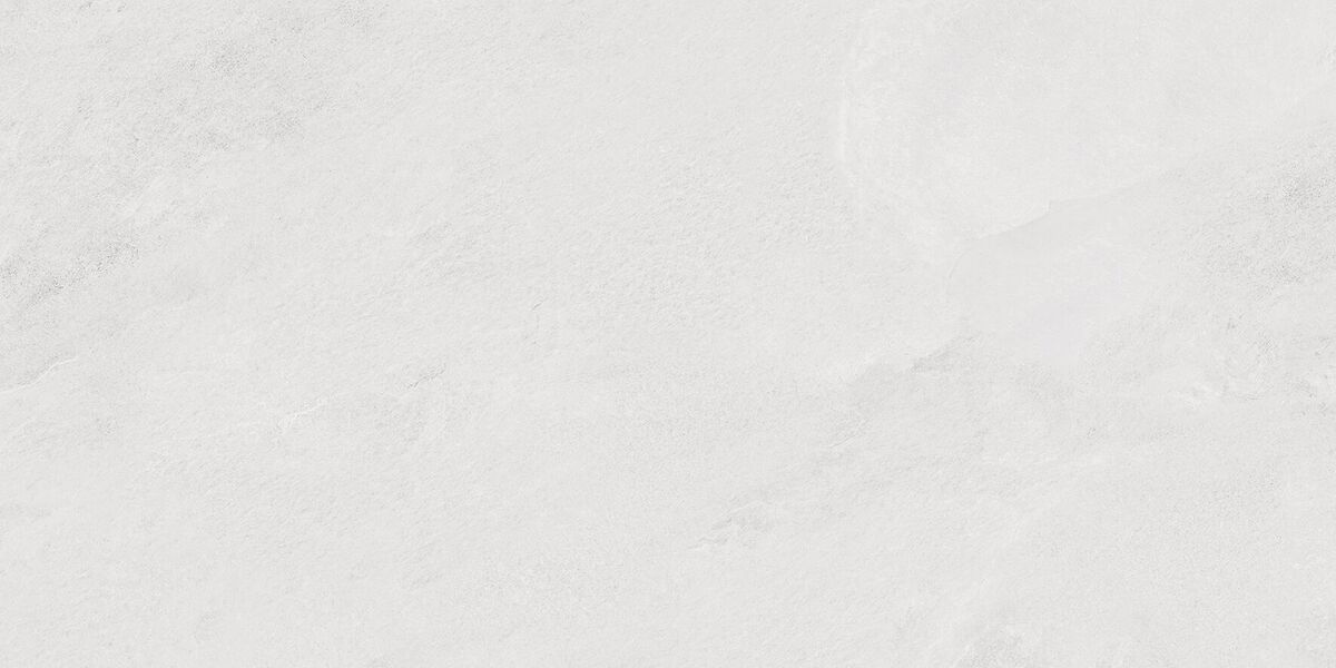 Porter Silver PRO Керамогранит светло-серый LP6012G0171R 59,5х119,1 матовый карвинг R10 STR