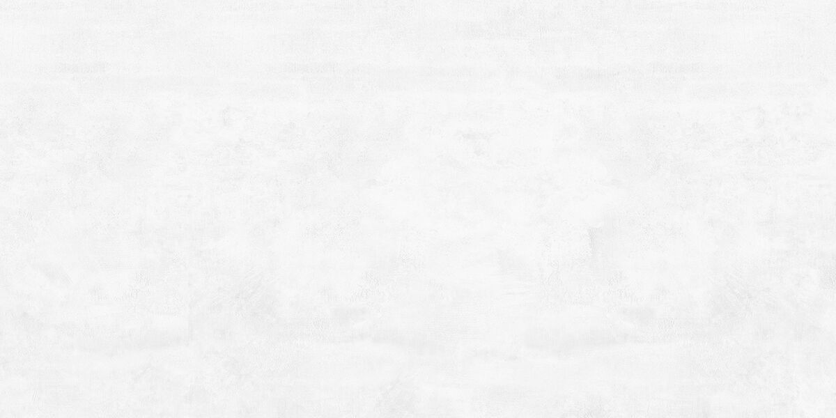 Flagman PRO Керамогранит светло-серый K952677R0001LPER 59,7х119,7 R10