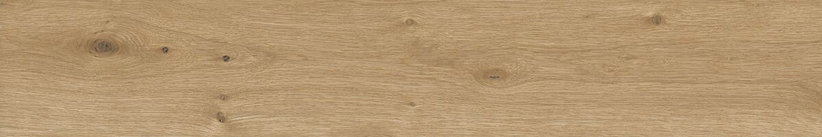 Клаб керамогранит светло-коричневый SG517400R 19,6х119,5