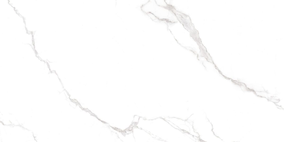 Statuario White PRO Керамогранит белый 60х120 матовый R10GR CB