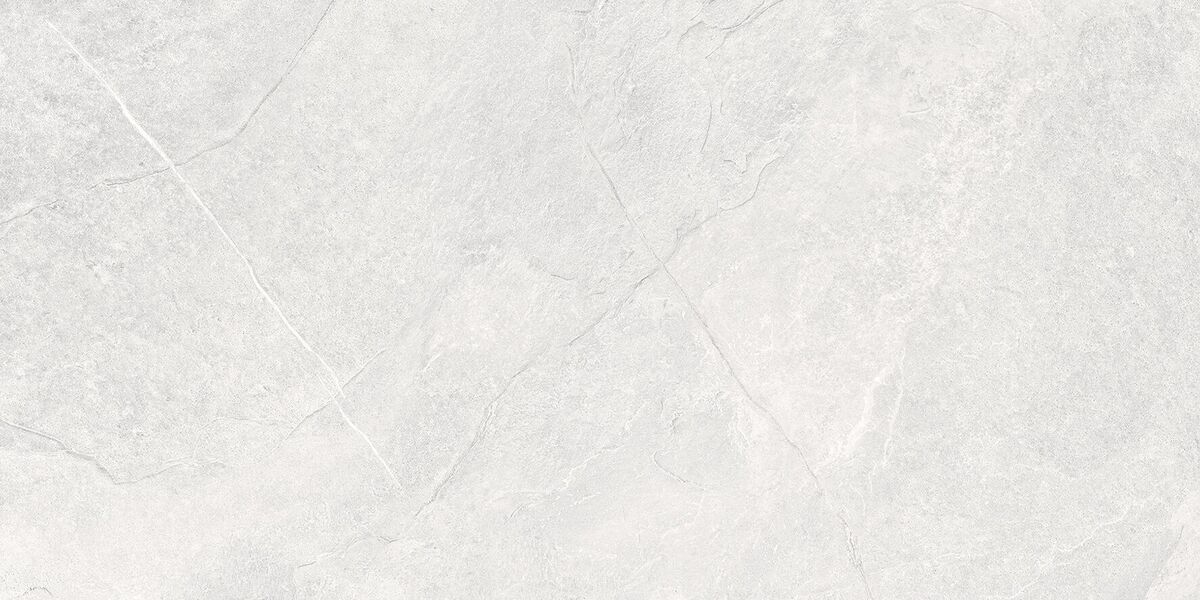 Overland Moon PRO Керамогранит светло-серый 60х120 матовый+гл.чернила R10 STR