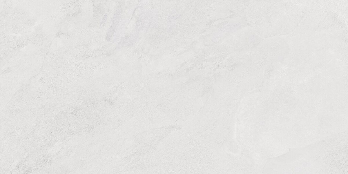 Porter Silver PRO Керамогранит светло-серый LP6012G0171R 59,5х119,1 матовый карвинг R10 STR